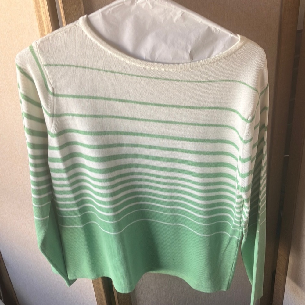 FINAL MARKDOWN Talbots Mint and White Striped Women's Sweater petite small